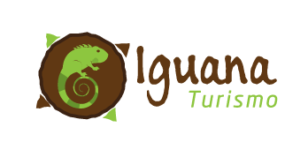 Iguana Turismo