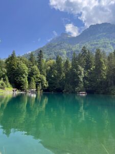 suiça lago famoso bonito com natureza