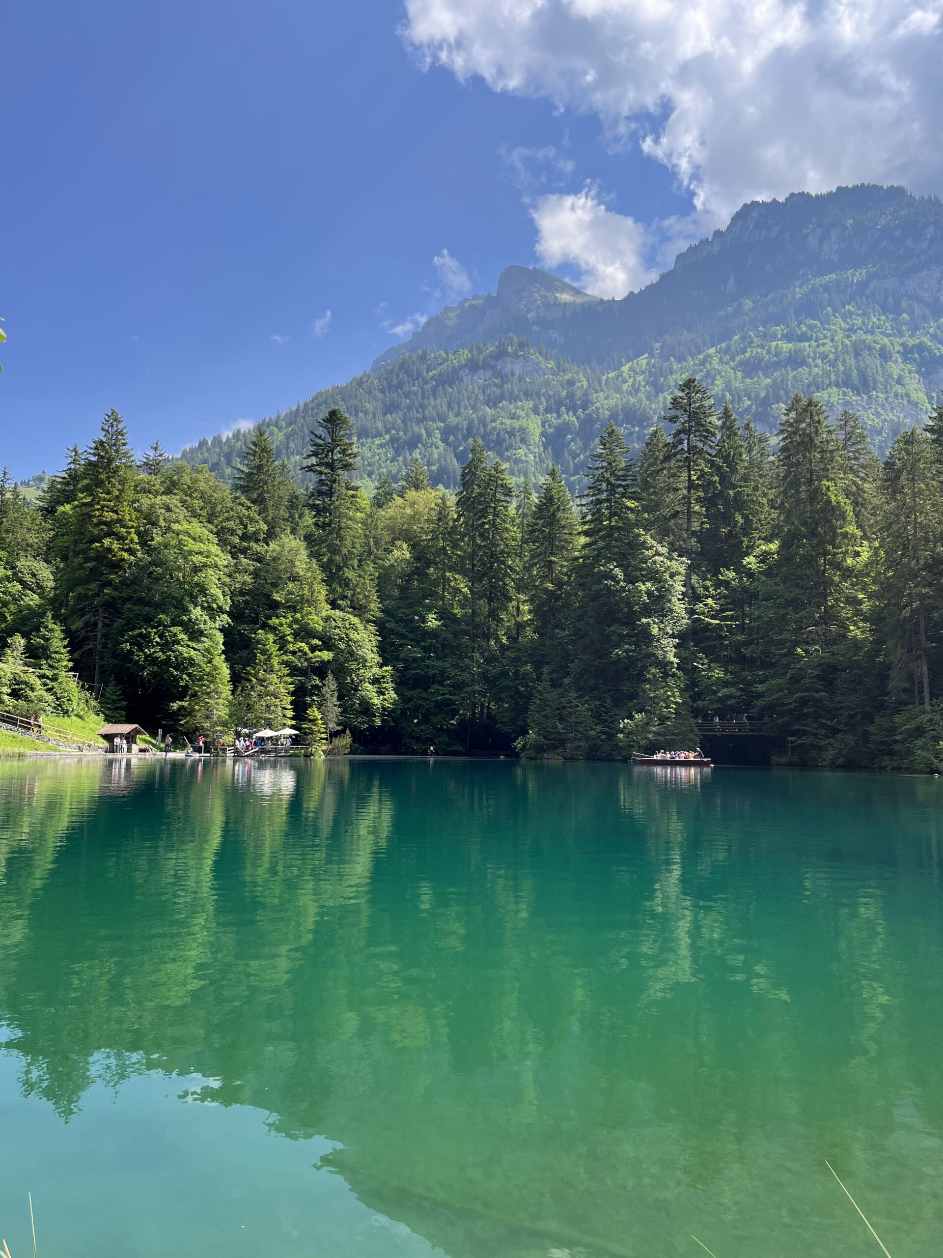suiça lago famoso bonito com natureza