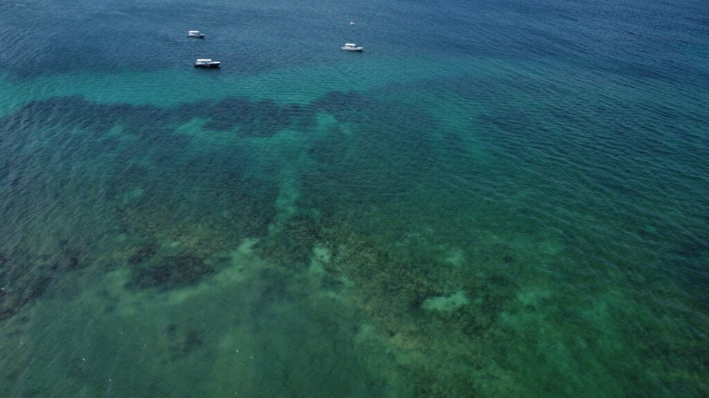 O que fazer em Roatán Foto de recifes em west bay